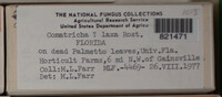 Image Associated With the Occurence